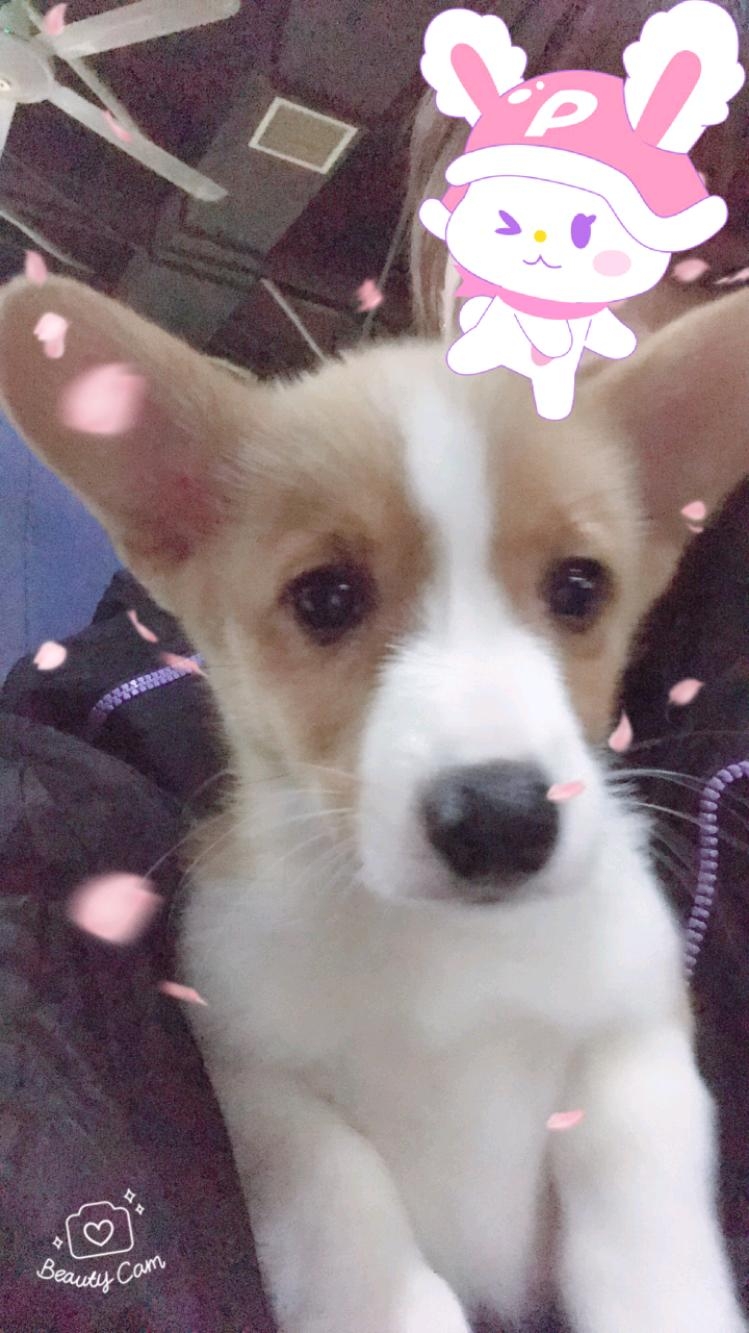 IMG_PITU_20171209_201144.jpeg