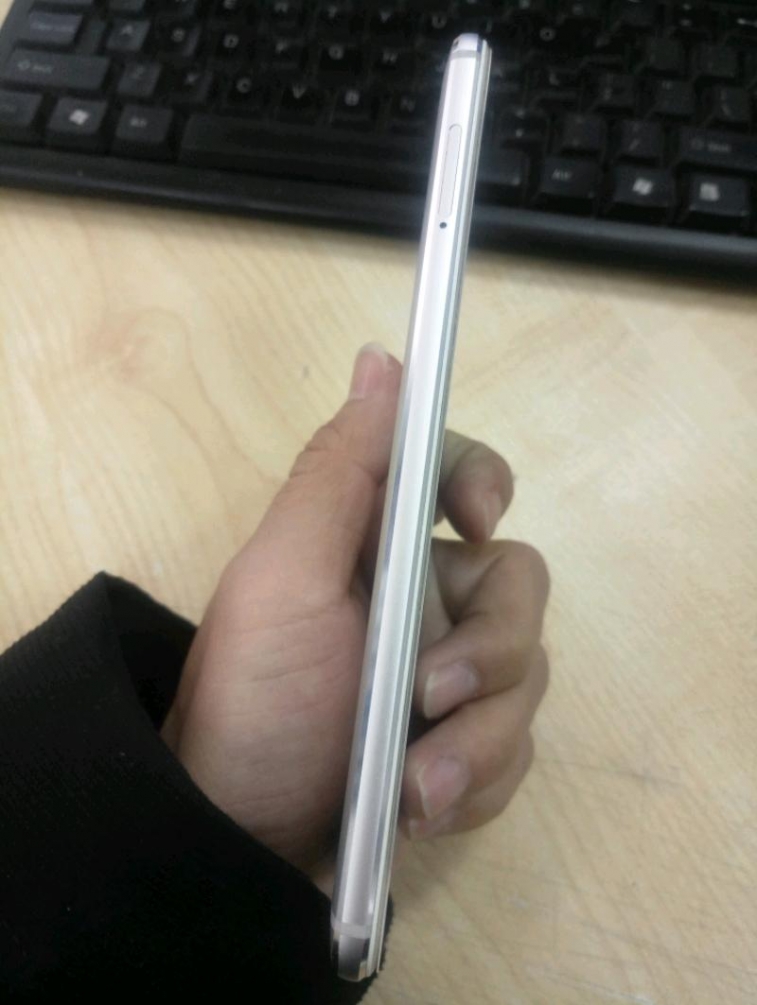 P80210-074612.jpeg