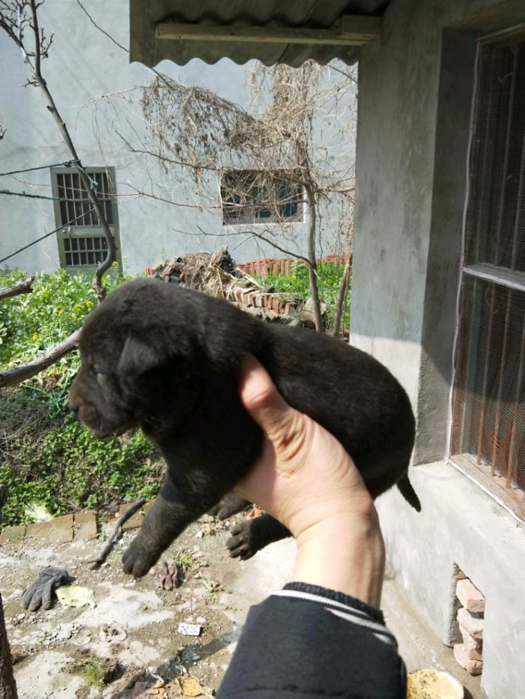IMG20180323132305.jpeg