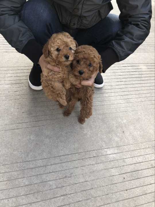 QQ图片20180327091659.jpg