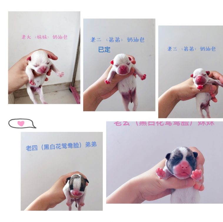 2C690E66F8D7F674D8246A29B247E63A.png