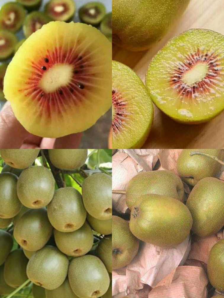 wechat_upload15347740575b7acb29646d4