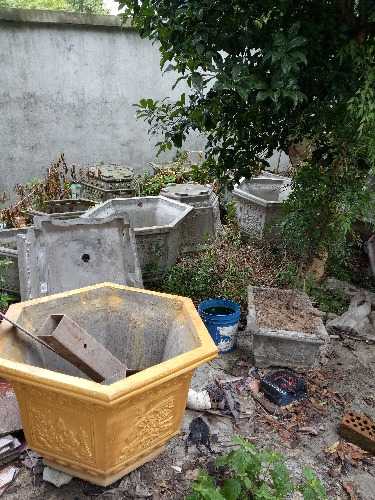 IMG20180812153637.jpg