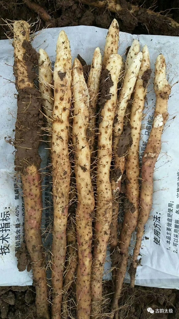 微信图片_20181016105618.jpg