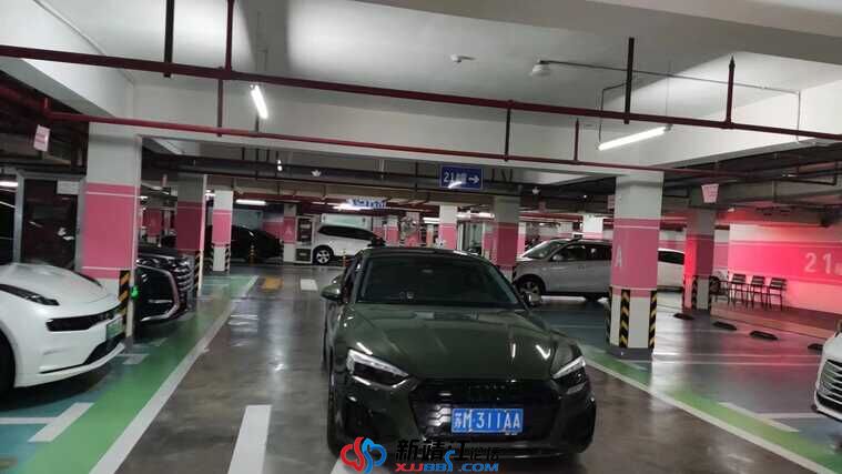 mmexport1727053638570.jpg
