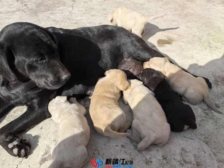 wechat_upload1736204834677c62229fbe4